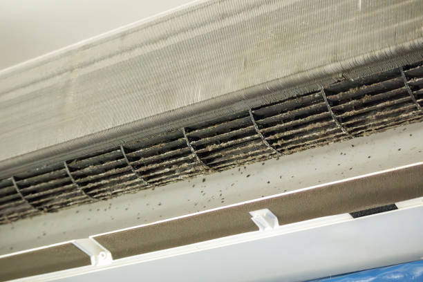 Best Affordable HVAC Duct Cleaning  in Irrigon, OR